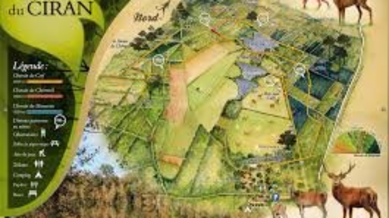 d5e1d1b69881f3803cc041c0714608af_domaine-du